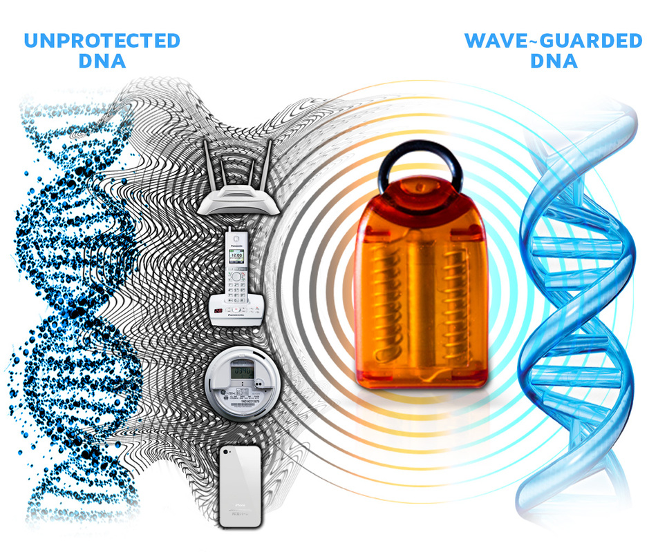 Wave-Guard Protects DNA From Harmful Scalar Waves